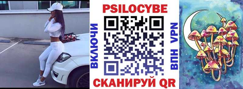 Псилоцибиновые грибы прущие грибы  Высоковск 